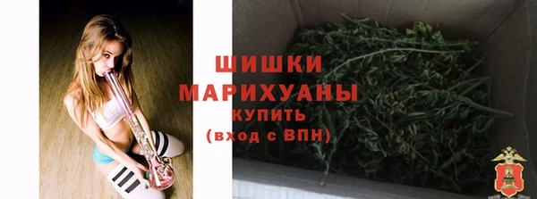 трава Аркадак