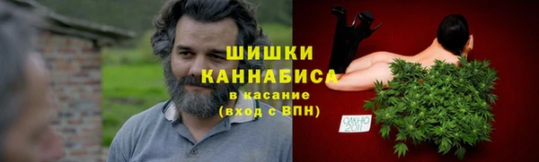трава Аркадак