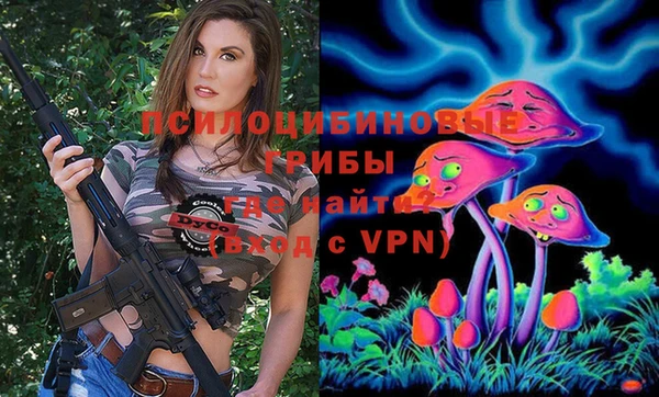 трава Аркадак