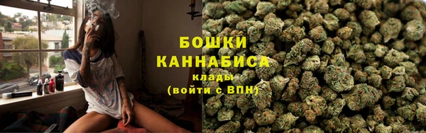 трава Аркадак