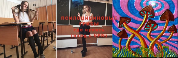 трава Аркадак