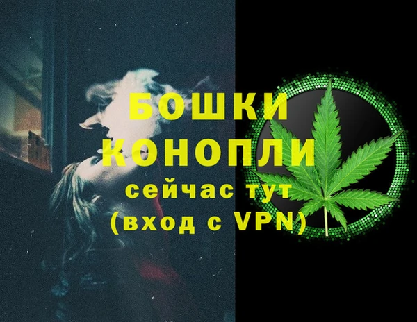 трава Аркадак